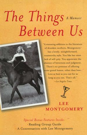 Cover of the book The Things Between Us by Evans D. Hopkins