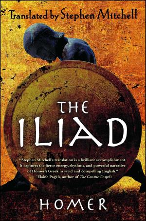 Cover of the book The Iliad by Elizabeth Fremantle
