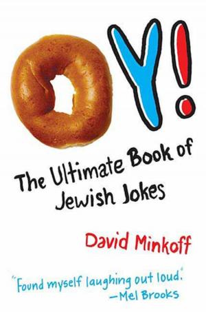 Cover of the book Oy! by Robert J. Shapiro