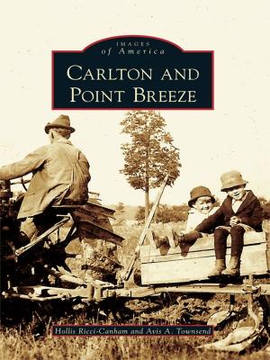 Cover of the book Carlton and Point Breeze by Norma H. Gurba, Nicholas J. West