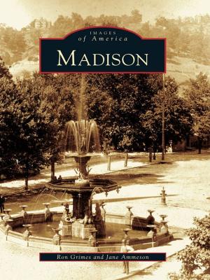 Cover of the book Madison by Edward L. Underwood, Karen J. Underwood
