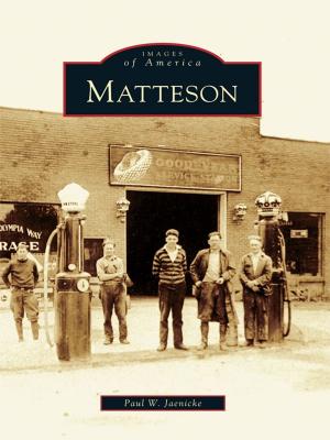 Cover of the book Matteson by Nancy Allen