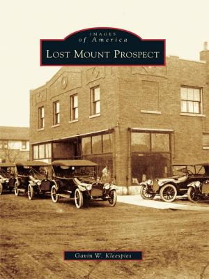 Cover of the book Lost Mount Prospect by Clara Garrett Fountain
