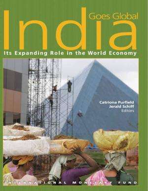Cover of the book India Goes Global: Its Expanding Role in the Global Economy by Lusine Lusinyan, Aliona Cebotari, Ricardo Velloso, Jeffrey Mr. Davis, Amine Mati, Murray Petrie, Paolo Mr. Mauro