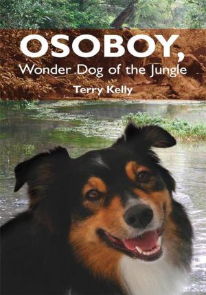 Cover of the book Osoboy, Wonder Dog of the Jungle by Brett Droege