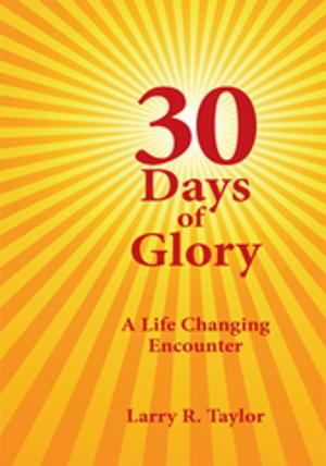 Cover of the book 30 Days of Glory by David Lucero