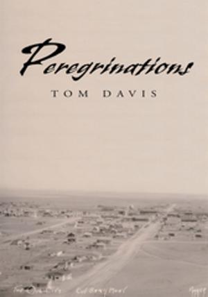 Cover of the book Peregrinations by Annette Dosser