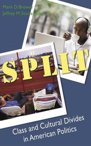 Cover of the book Split by Gabe Ignatow, Rada F. Mihalcea