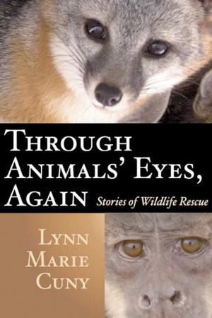 Cover of the book Through Animals' Eyes, Again by Gary Lantz