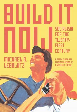 Cover of the book Build It Now by Stephen Cushion