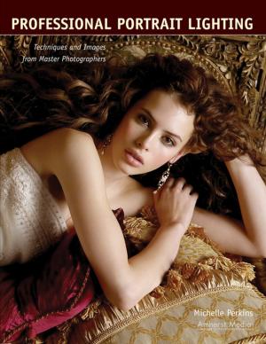Cover of the book Professional Portrait Lighting by David Johnston