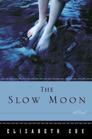 Cover of the book The Slow Moon by Hilma Wolitzer