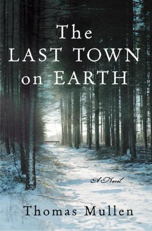 Cover of the book The Last Town on Earth by Felix Gilman