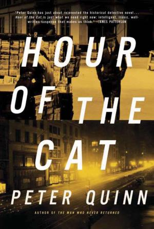 Cover of the book The Hour of the Cat by Laura Lee Gulledge