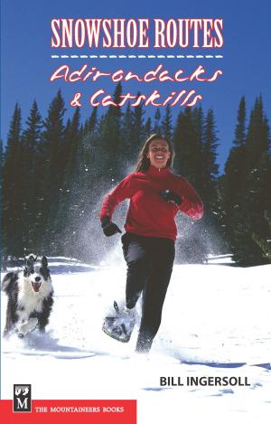 bigCover of the book Snowshoe Routes: Adirondacks & Catskills by 