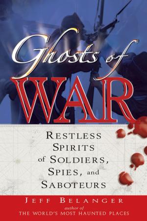 Cover of the book Ghosts of War by Susannah Seton, 