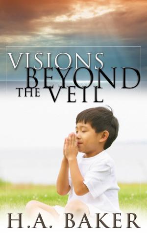 Book cover of Visions Beyond The Veil
