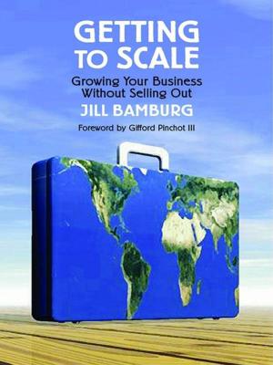 Cover of the book Getting to Scale by Bernardo Tirado PMP