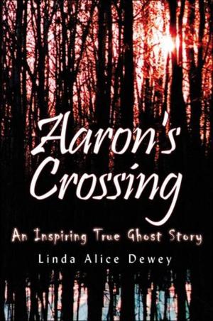 Cover of the book Aaron's Crossing by Paul Hannam, John Selby