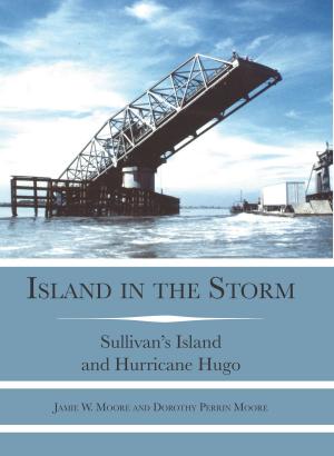 Cover of the book Island in the Storm by Lucas G. Rubin