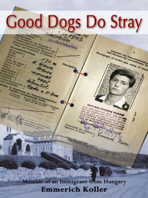 Book cover of Good Dogs Do Stray
