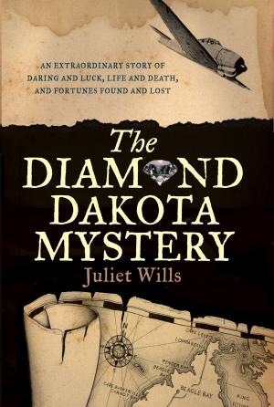 Cover of the book The Diamond Dakota Mystery by Jim Haynes