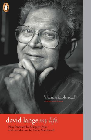 Cover of the book David Lange by Allan Baillie