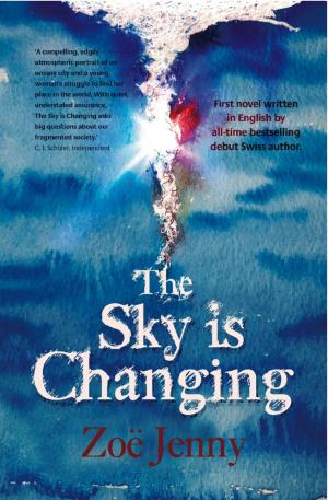 Cover of the book The Sky Is Changing by Laura Amos