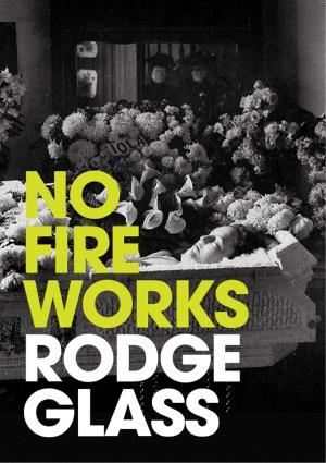 Book cover of No Fireworks