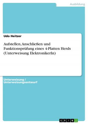 Cover of the book Aufstellen, Anschließen und Funktionsprüfung eines 4-Platten Herds (Unterweisung ElektronikerIn) by Ina Hofmeister