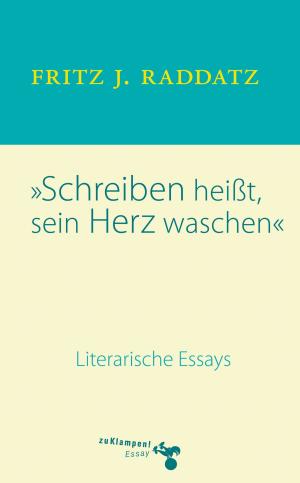 Cover of Schreiben heisst, sein Herz waschen