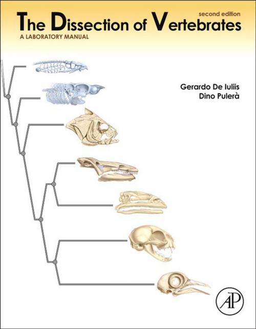 Cover of the book The Dissection of Vertebrates by Gerardo De Iuliis, PhD, Dino Pulerà, MScBMC, CMI, Elsevier Science