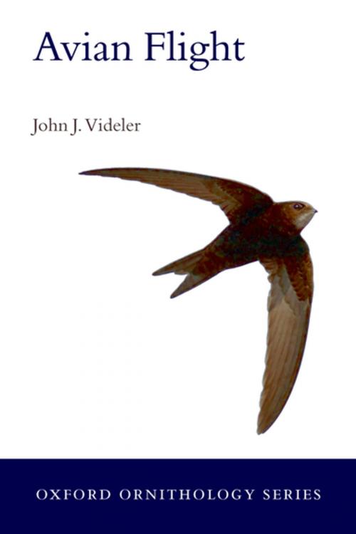 Cover of the book Avian Flight by John  J. Videler, OUP Oxford