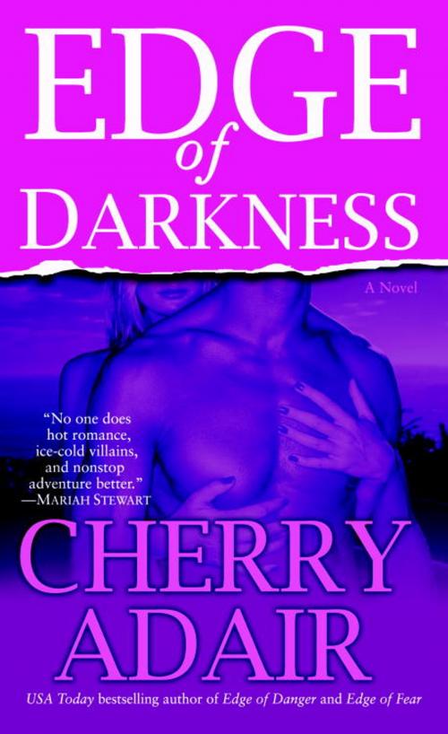 Cover of the book Edge of Darkness by Cherry Adair, Random House Publishing Group