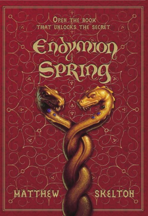 Cover of the book Endymion Spring by Matthew Skelton, Random House Children's Books