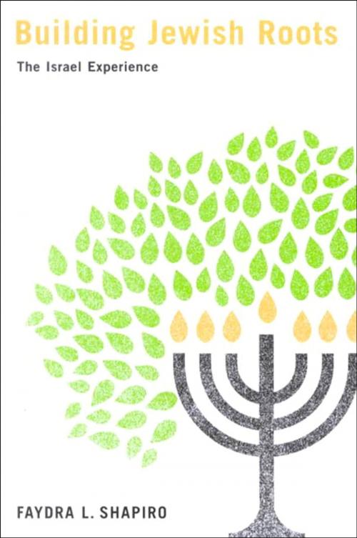 Cover of the book Building Jewish Roots by Faydra L. Shapiro, MQUP