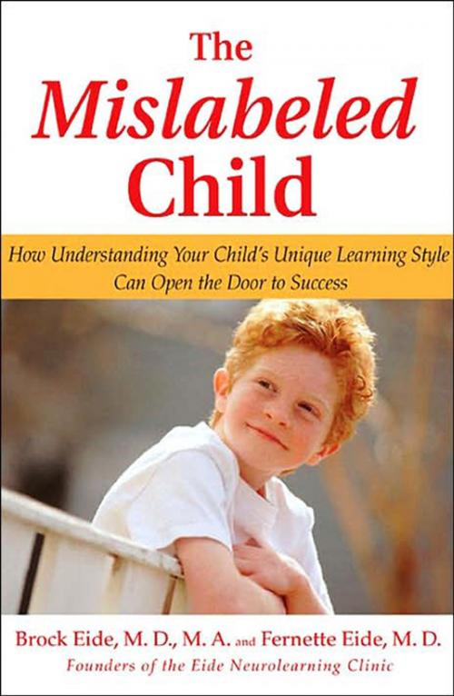 Cover of the book The Mislabeled Child by Brock Eide, Fernette Eide, Hachette Books