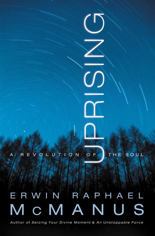 Cover of the book Uprising by Erwin Raphael McManus, Thomas Nelson