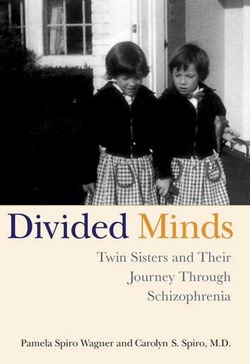 Cover of the book Divided Minds by Carolyn Spiro, Pamela Spiro Wagner, St. Martin's Press