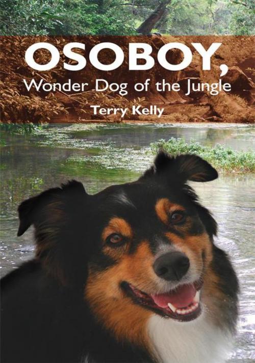 Cover of the book Osoboy, Wonder Dog of the Jungle by Terry Kelly, AuthorHouse