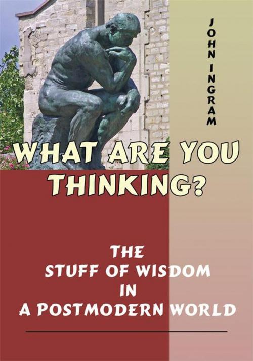 Cover of the book What Are You Thinking? by John Ingram, AuthorHouse