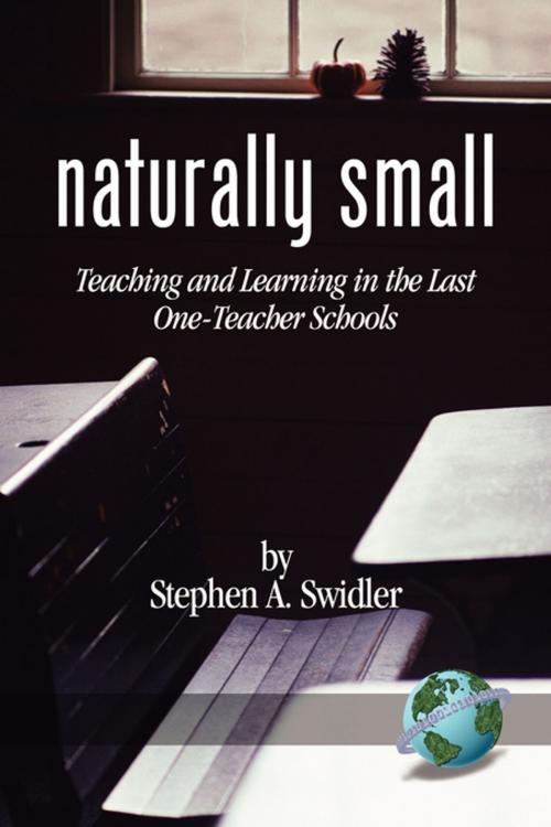 Cover of the book Naturally Small by Stephen A. Swidler, Information Age Publishing
