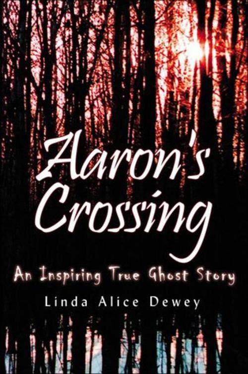Cover of the book Aaron's Crossing by Linda Alice Dewey, Hampton Roads Publishing