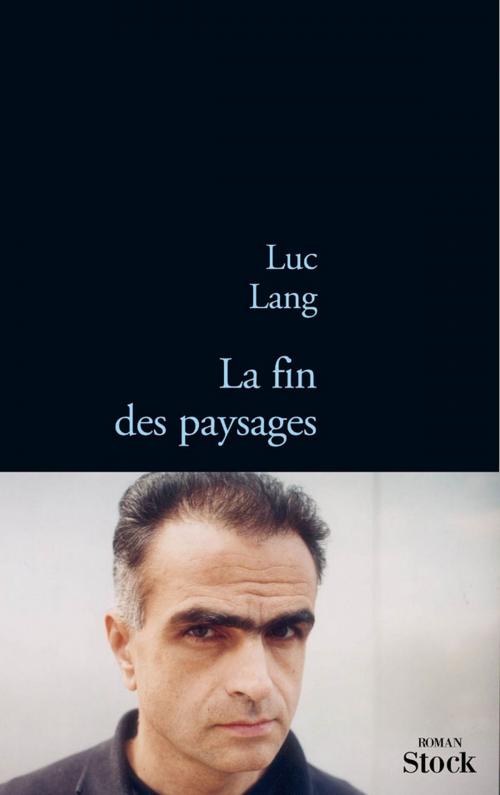 Cover of the book La fin des paysages by Luc Lang, Stock