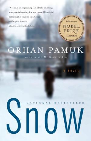 Cover of the book Snow by Carlos Ruiz Zafón