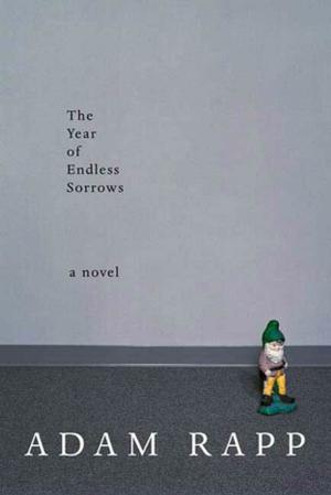 Cover of the book The Year of Endless Sorrows by David Adam