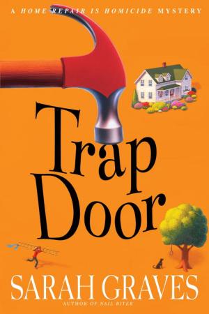 Cover of the book Trap Door by J.C. Hutchins