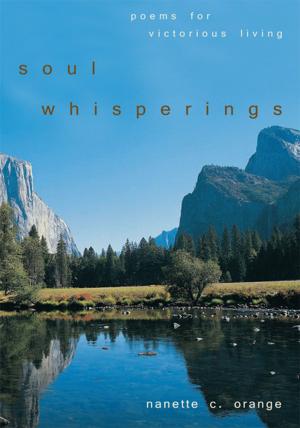 Cover of the book Soul Whisperings by Richard Reitz