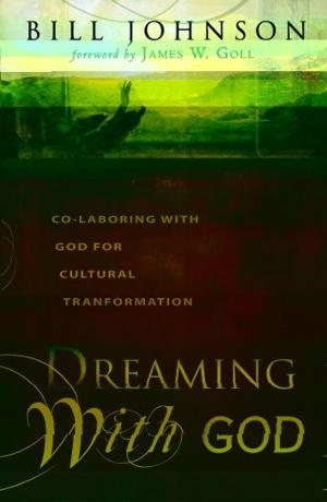 Cover of the book Dreaming With God: Co-laboring With God for Cultural Transformation by Scot Anderson