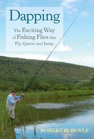 Cover of the book Dapping by John Kumiski